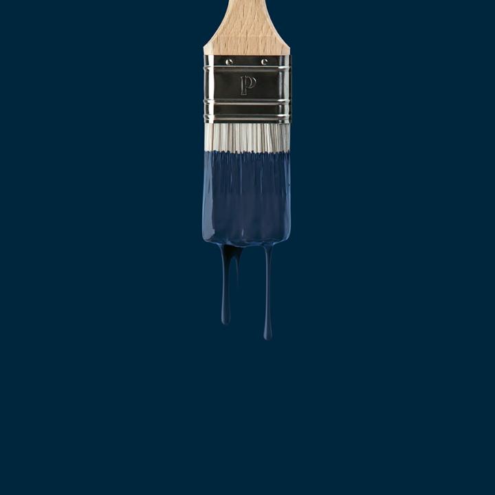 Peinture murale Bleu nuit