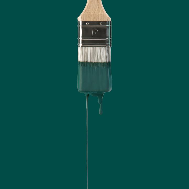Peinture murale Vert sauvage