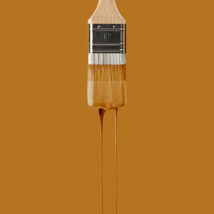 Peinture Ocre | Margaux Keller x Plum