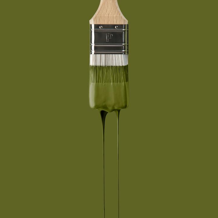 Peinture Romarin | Margaux Keller x Plum