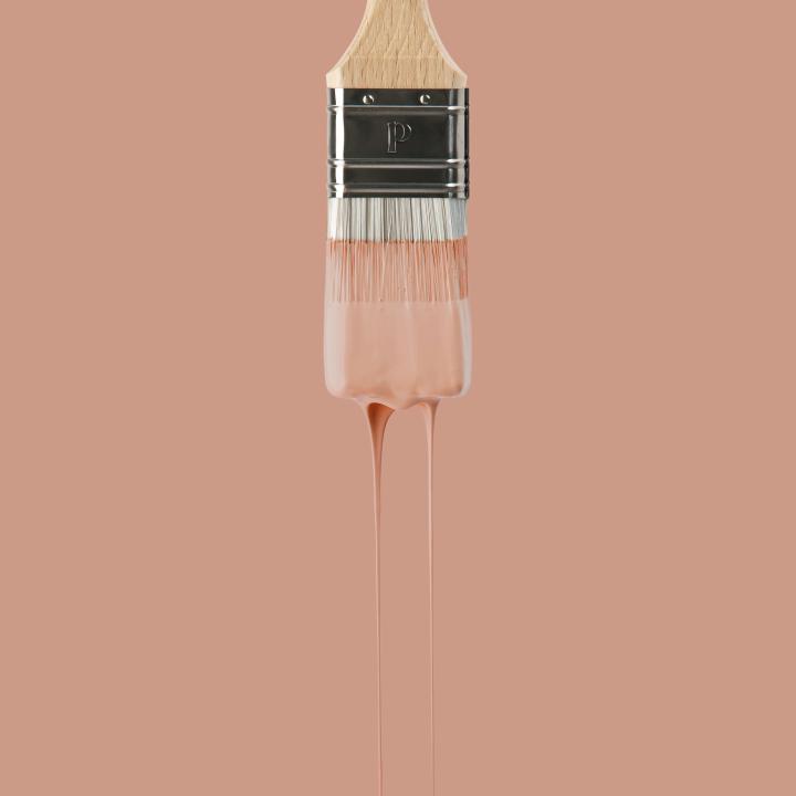 Peinture murale Blush