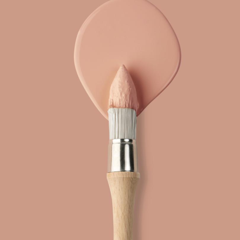 Peinture murale Blush