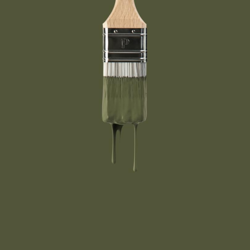 Peinture murale Olive