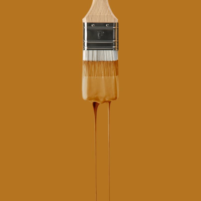 Peinture Ocre | Margaux Keller x Plum