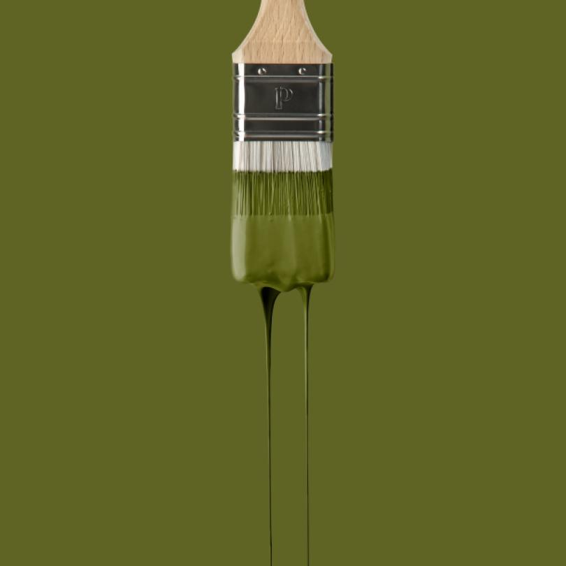Peinture Romarin | Margaux Keller x Plum