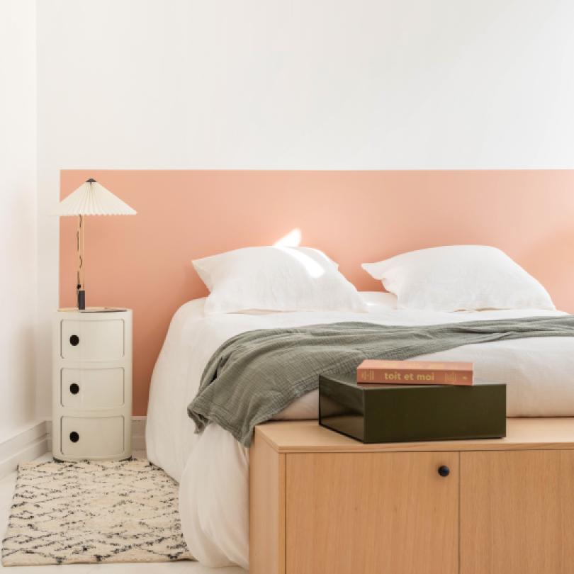 Peinture murale Blush