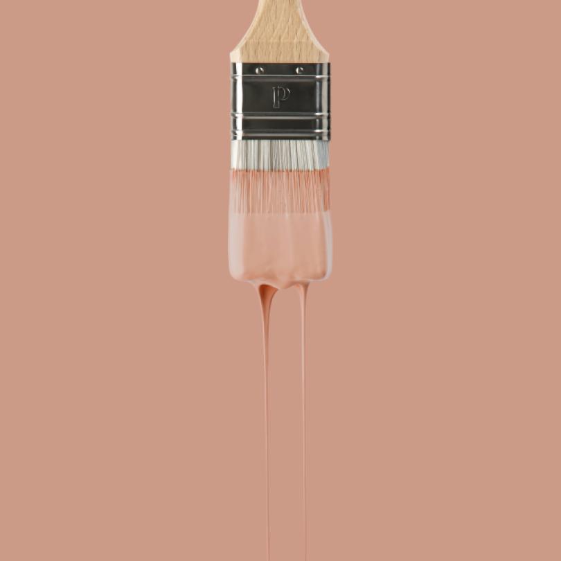 Peinture murale Blush