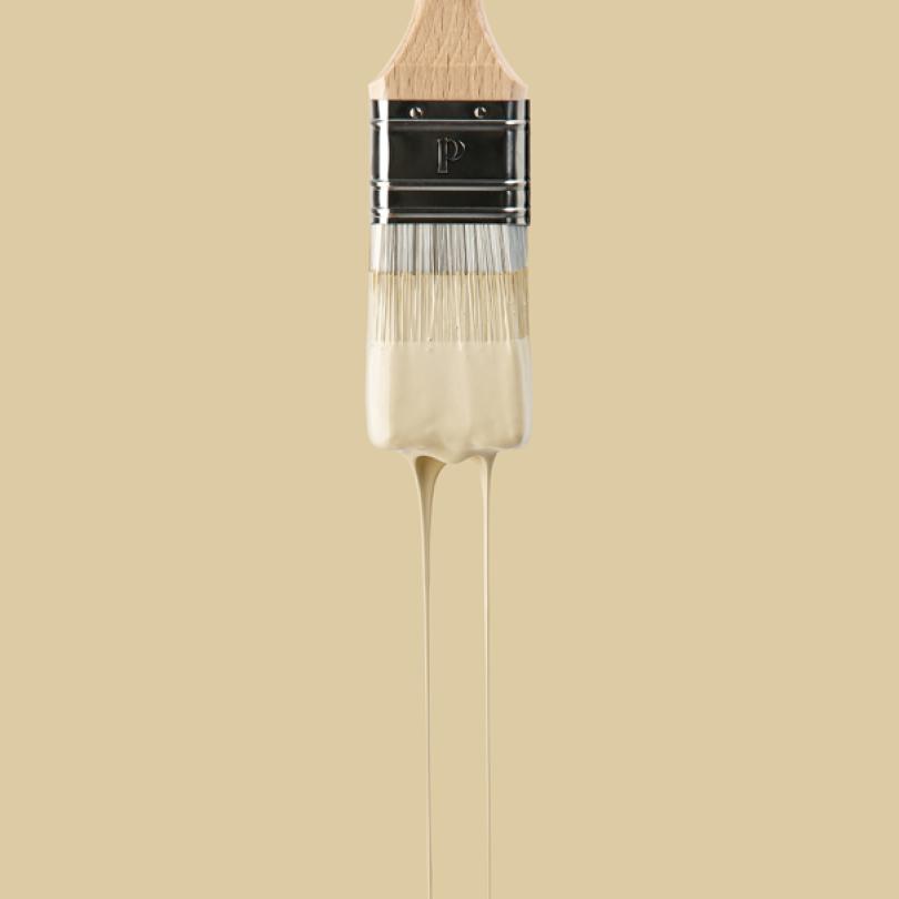Peinture murale Sable