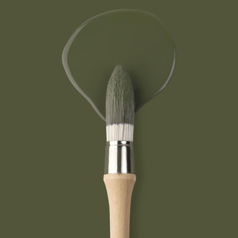Peinture murale Olive