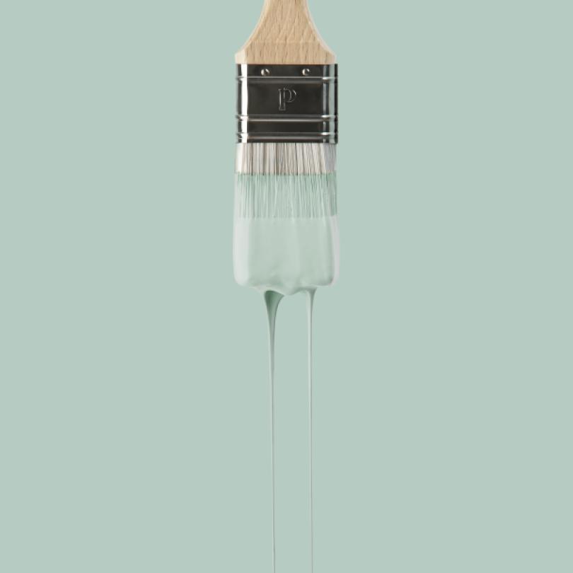 Peinture murale Celadon